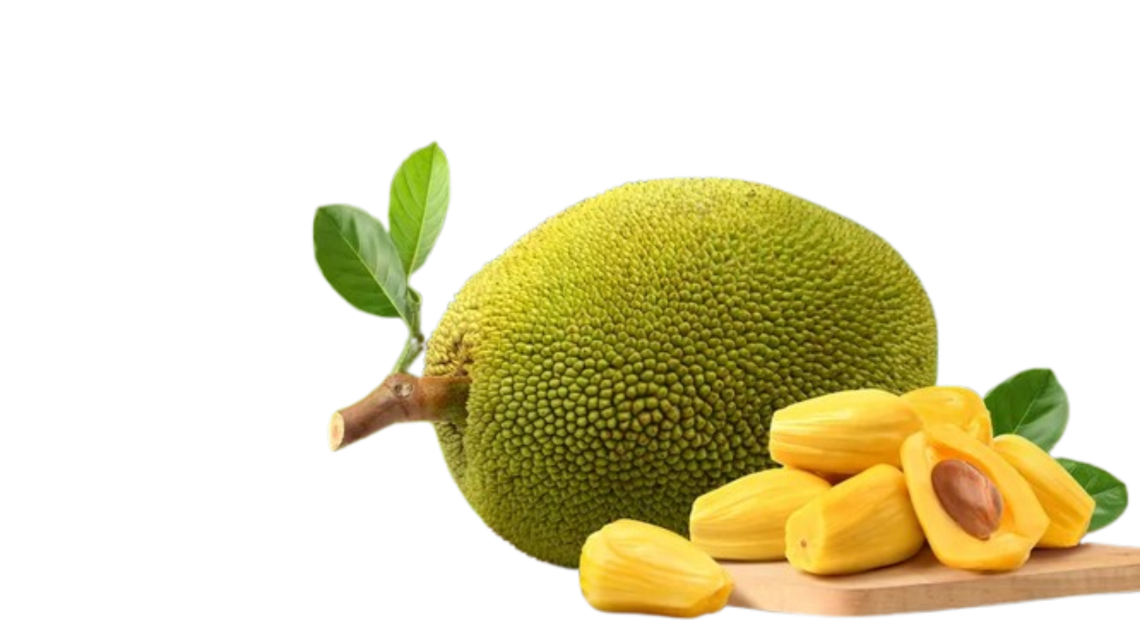 jackfruit background detail
